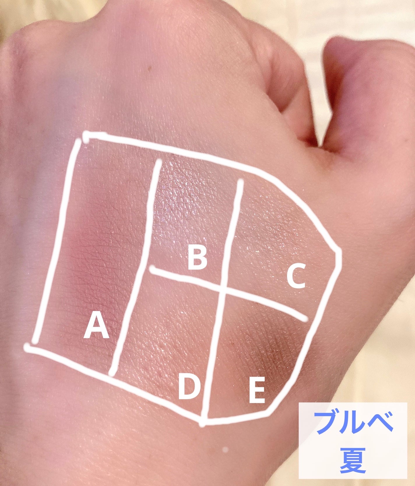 フェイスアイパレット/CEZANNE/アイシャドウを使ったクチコミ(3枚目)