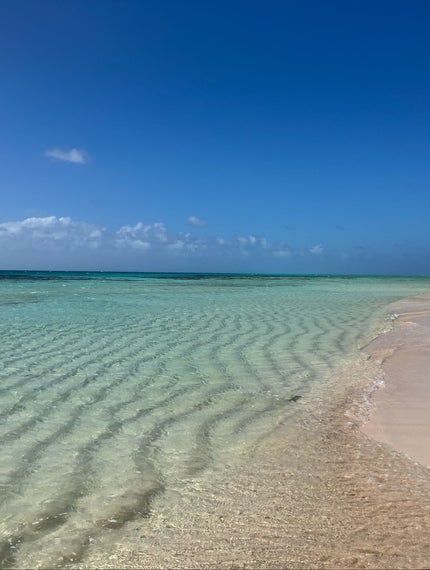 アドベンチャースポーツ ミネラルサンスクリーン SPF50/Badger(バジャー)/日焼け止めクリームを使ったクチコミ(5枚目)