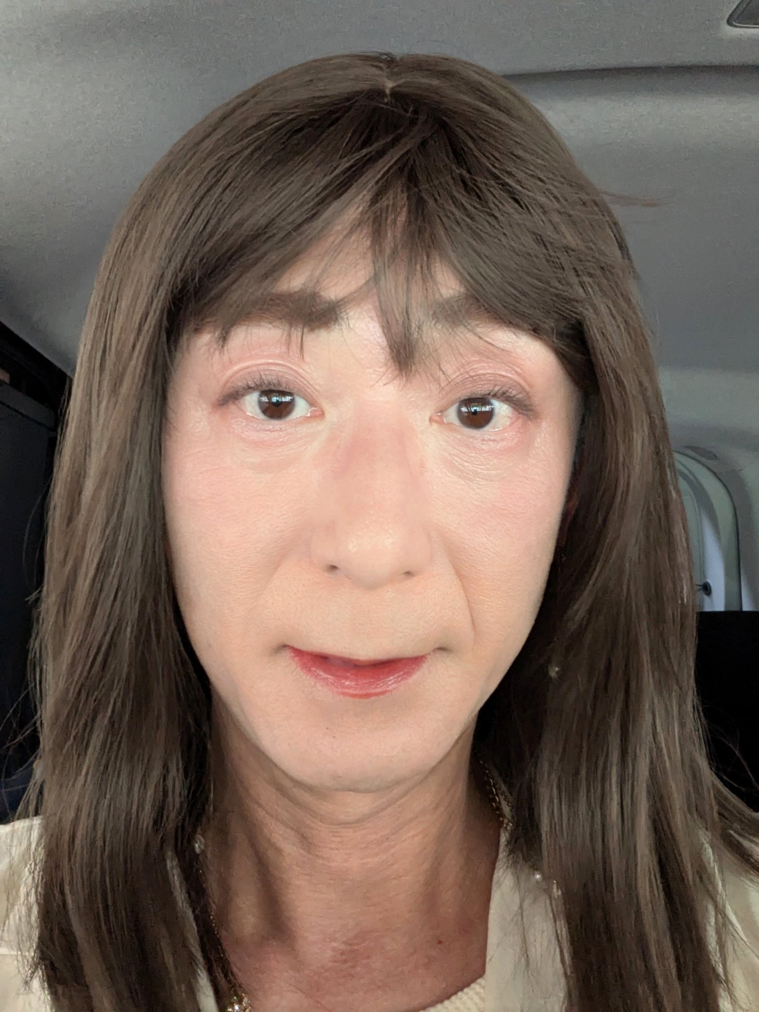 ラスティング リップカラーN/CEZANNE/口紅を使ったクチコミ（1枚目）