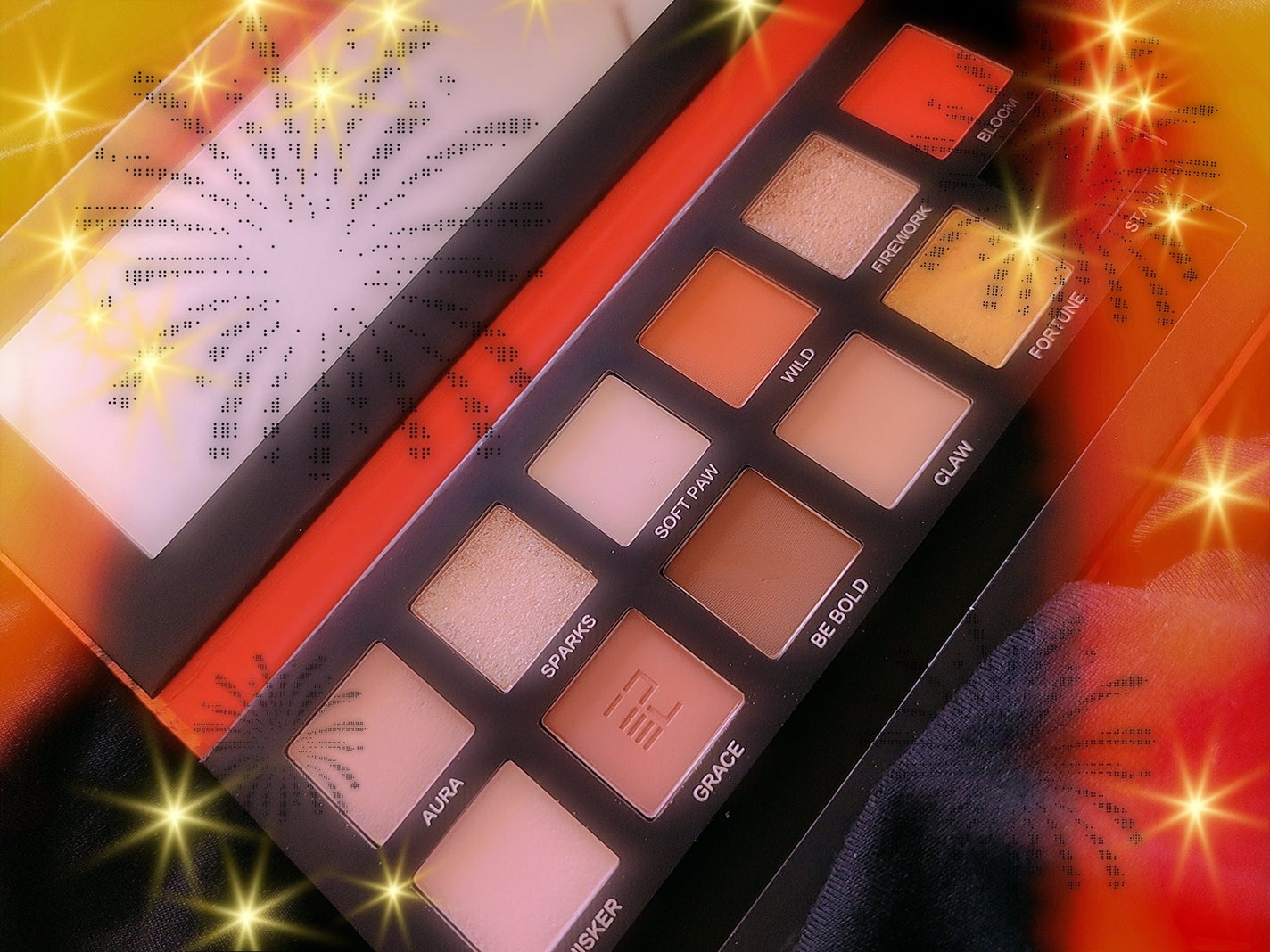 エクスプローラ12色 動物アイシャドウパレット/PERFECT DIARY/アイシャドウパレットを使ったクチコミ(2枚目)