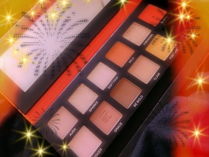 エクスプローラ12色 動物アイシャドウパレット/PERFECT DIARY/アイシャドウパレットを使ったクチコミ(2枚目)