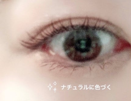フェイスアイパレット/CEZANNE/アイシャドウを使ったクチコミ(4枚目)