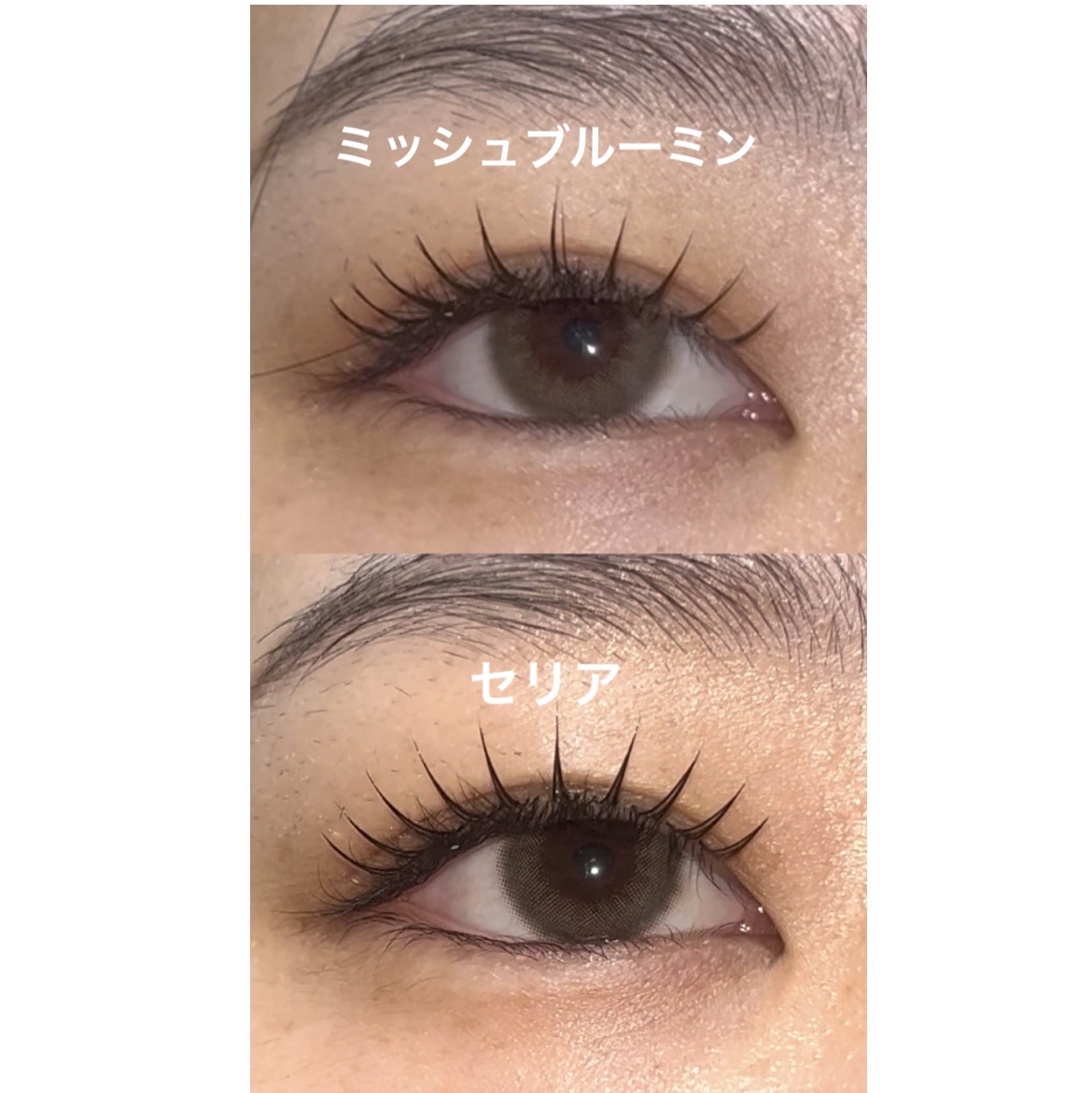 ミッシュブルーミン アイラッシュ インフィニティライン/ミッシュブルーミン/つけまつげを使ったクチコミ（3枚目）