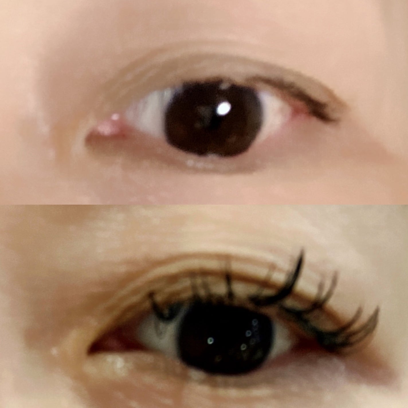 フェニックス アイラッシュサポートジェル/オデットアイラッシュコスメティクス/まつげ美容液を使ったクチコミ(3枚目)