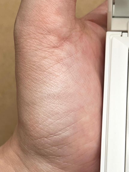 ノートレースシースルーセッティングパウダー/FUNNY ELVES方里/プレストパウダーを使ったクチコミ(4枚目)