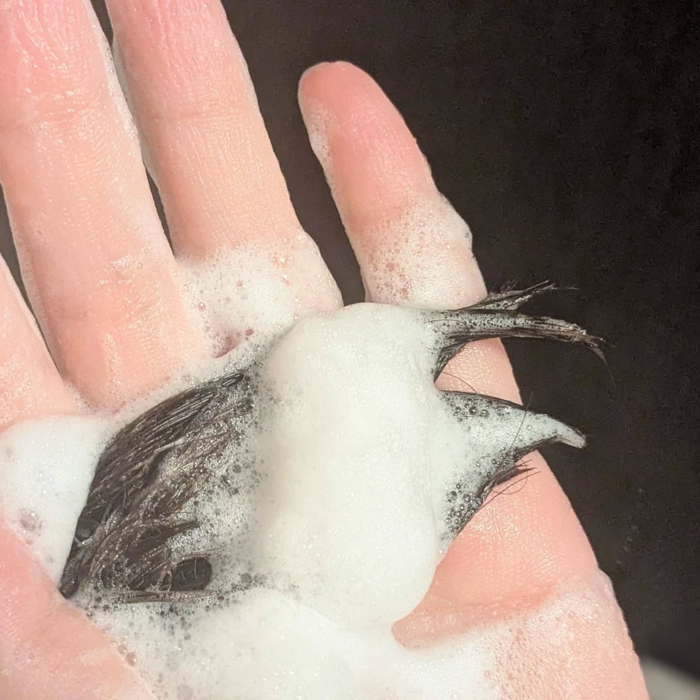 ＯＲ スパ・シャンプー グロッシーモイスチャー／トリートメント グロッシーモイスチャー/Off&Relax/市販シャンプーを使ったクチコミ（3枚目）