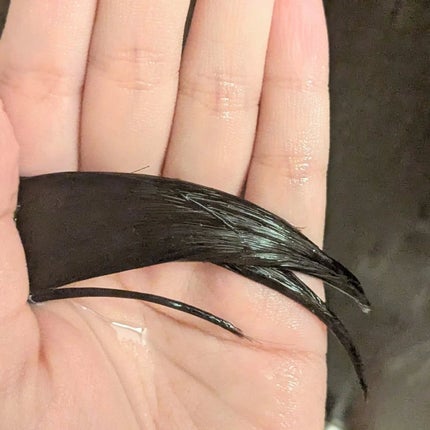 OR スパ・シャンプー グロッシーモイスチャー/トリートメント グロッシーモイスチャー/Off&Relax/市販シャンプーを使ったクチコミ(5枚目)