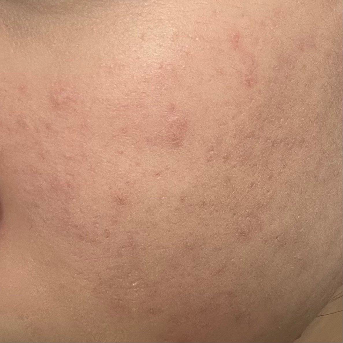 ベースコントロールカラー UV ラベンダーピンク/NOV/化粧下地を使ったクチコミ(1枚目)