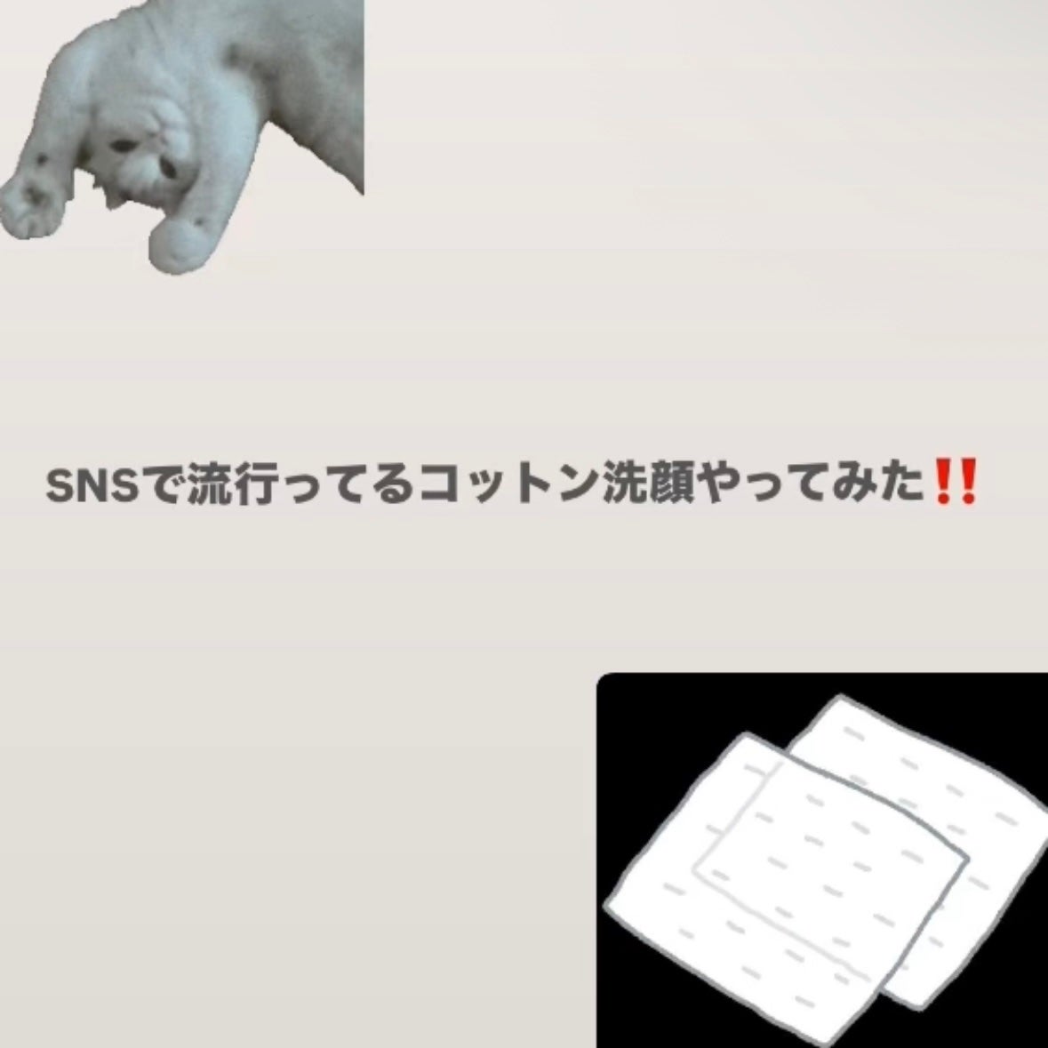 はくまい@フォロバします❕ on LIPS 「🌸コットン洗顔とは?コットンを水で湿らせてから洗顔料をつけ、お..」(1枚目)