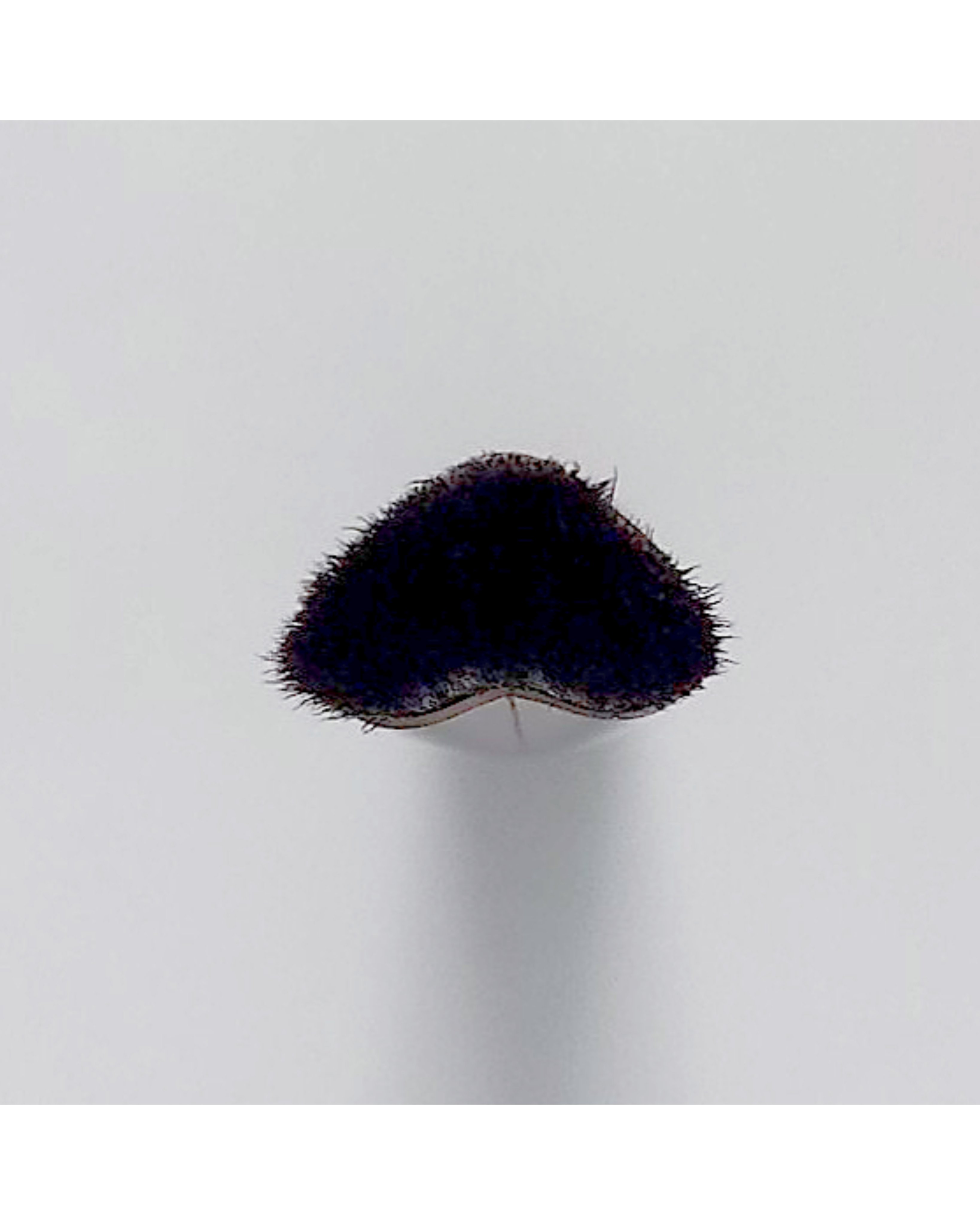 エクセル コンシーラーブラシ/excel/メイクブラシを使ったクチコミ（2枚目）