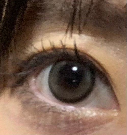 LARME MELTY SERIES(ラルムメルティシリーズ)/LARME/カラーコンタクトレンズを使ったクチコミ(1枚目)