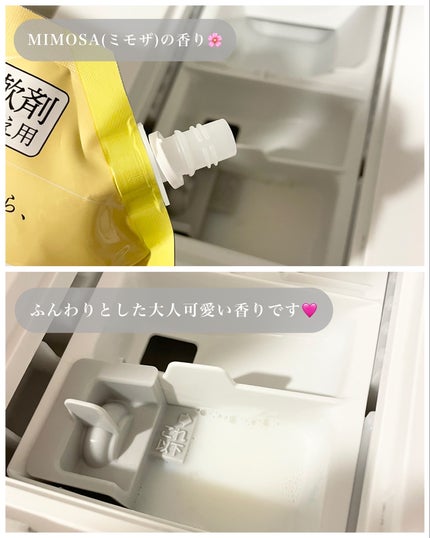 マイランドリー エレガントミモザの香り/マイランドリー/柔軟剤を使ったクチコミ(4枚目)