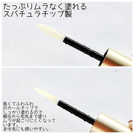BONNY LASHES premium/FABIUS/まつげ美容液を使ったクチコミ(3枚目)