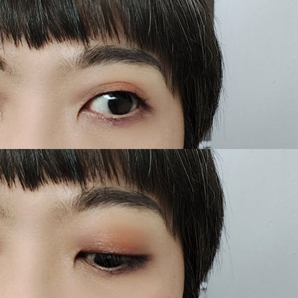 エンチャンテッド ナイト/CHANEL/アイシャドウパレットを使ったクチコミ(6枚目)