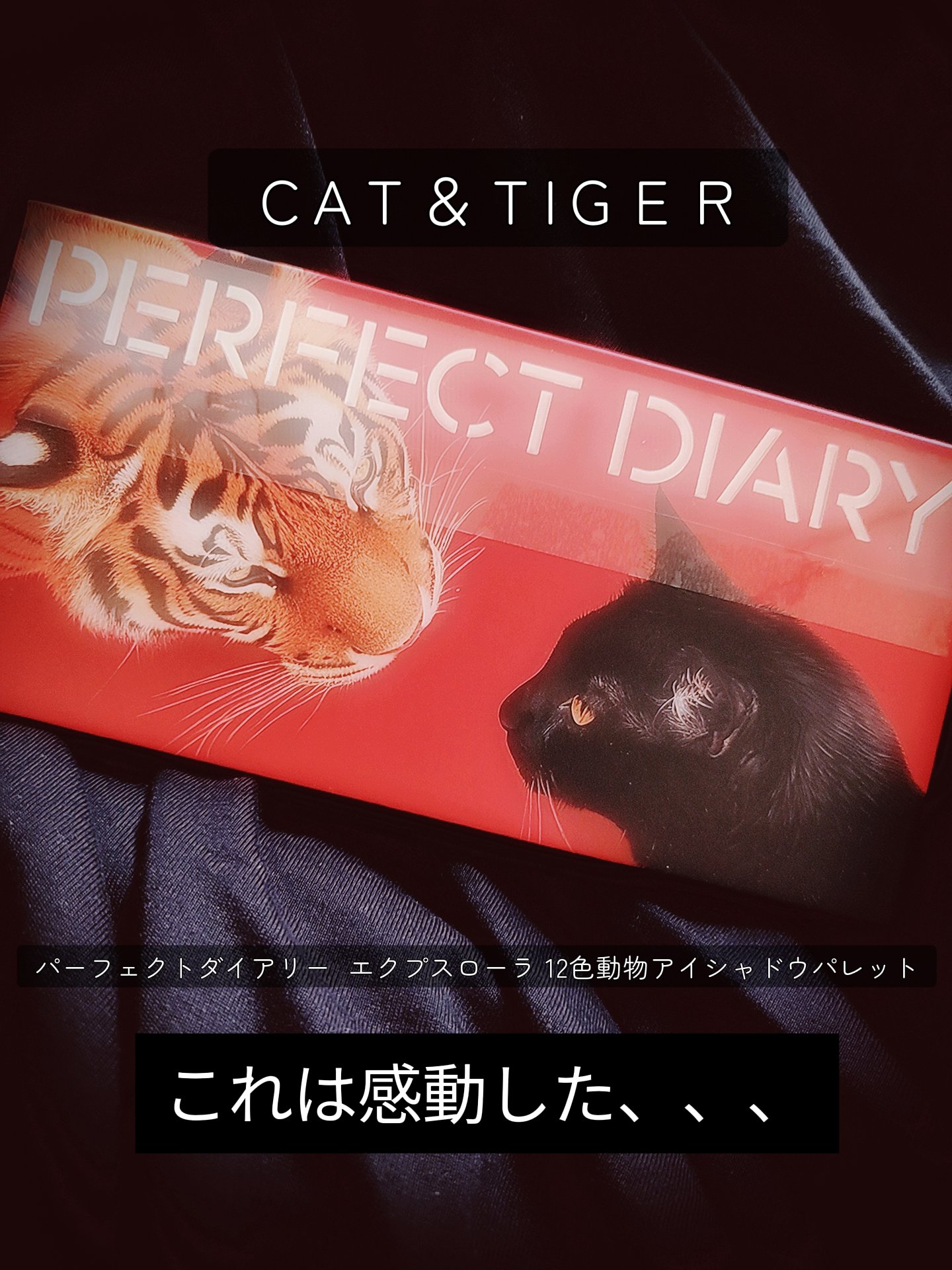 エクスプローラ12色 動物アイシャドウパレット/PERFECT DIARY/アイシャドウパレットを使ったクチコミ（1枚目）