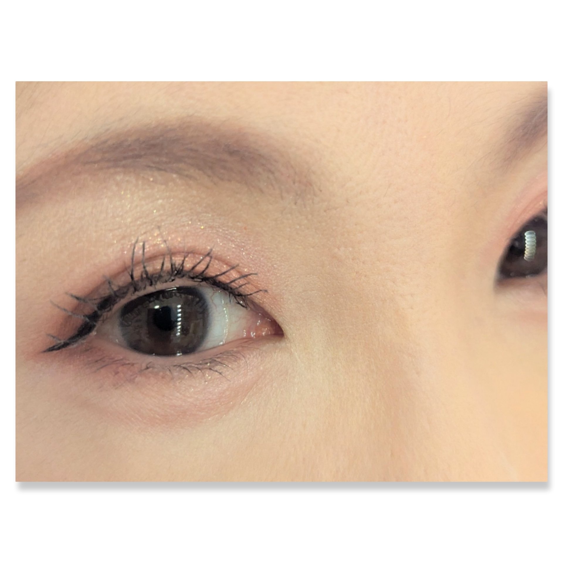 レブロン ダズル アイシャドウ クアッド/REVLON/アイシャドウパレットを使ったクチコミ（2枚目）