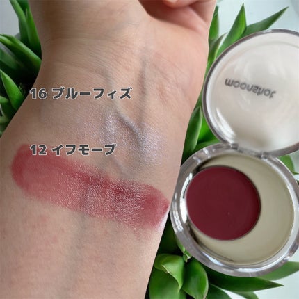 メルティングムードリップ&チーク/moonshot/ジェル・クリームチークを使ったクチコミ(5枚目)