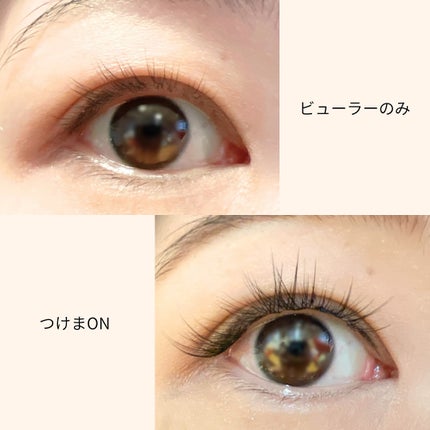 Butterfly Eyelash/BLJ/つけまつげを使ったクチコミ(6枚目)