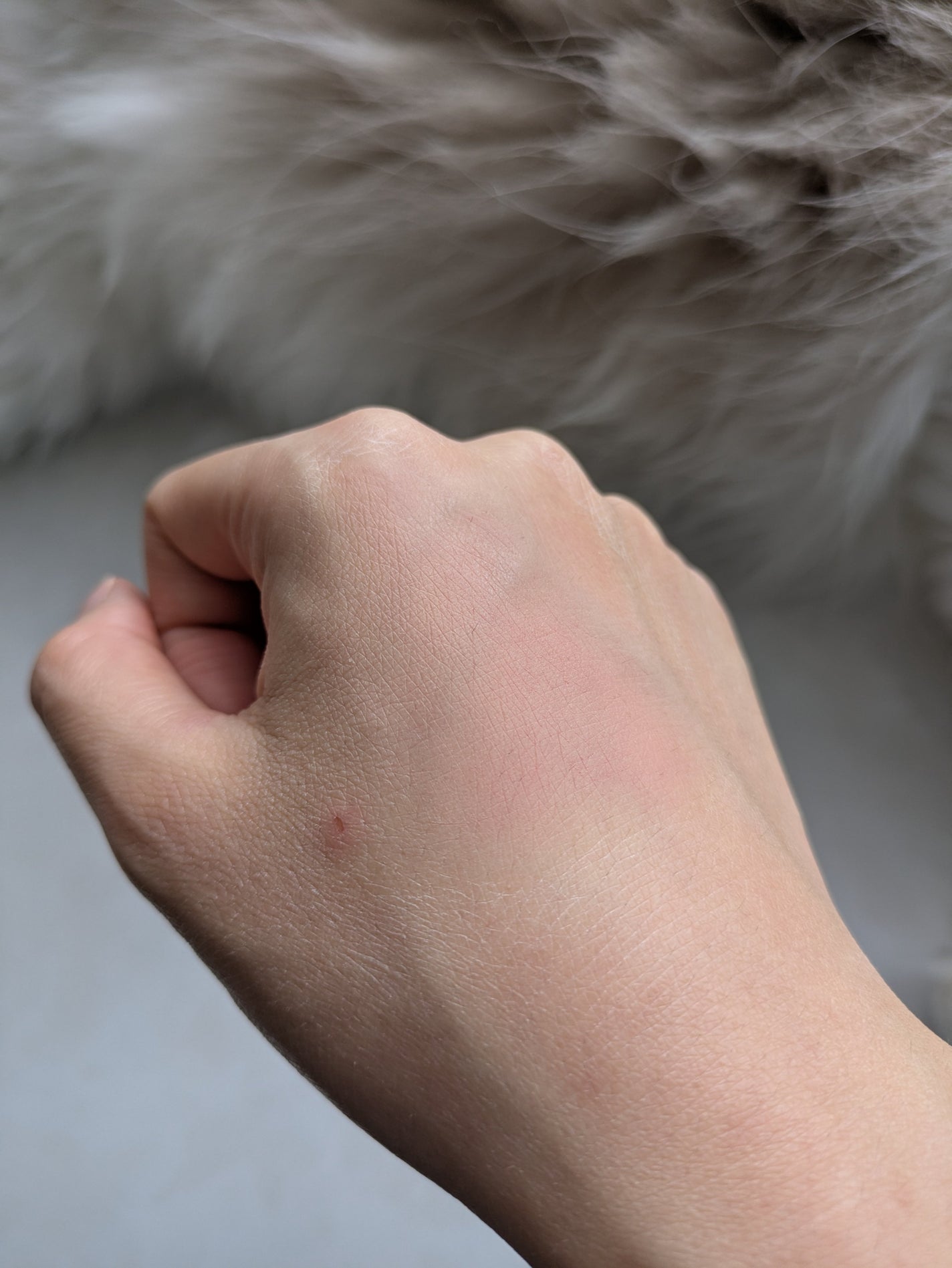 フィー リップアンドチーク ブラーリープリンポット/fwee/口紅を使ったクチコミ(3枚目)