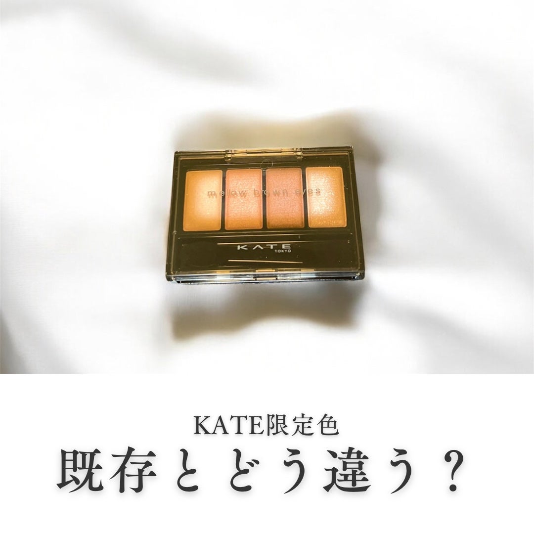 ケイト メロウブラウンアイズ/KATE/アイシャドウパレットを使ったクチコミ(1枚目)