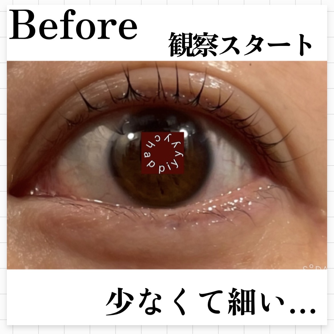 ラッシュアディクト アイラッシュコンディショニングセラム/soaddicted/まつげ美容液を使ったクチコミ（2枚目）