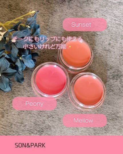 Arti Spread Color Balm/SON&PARK/リップグロスを使ったクチコミ(3枚目)