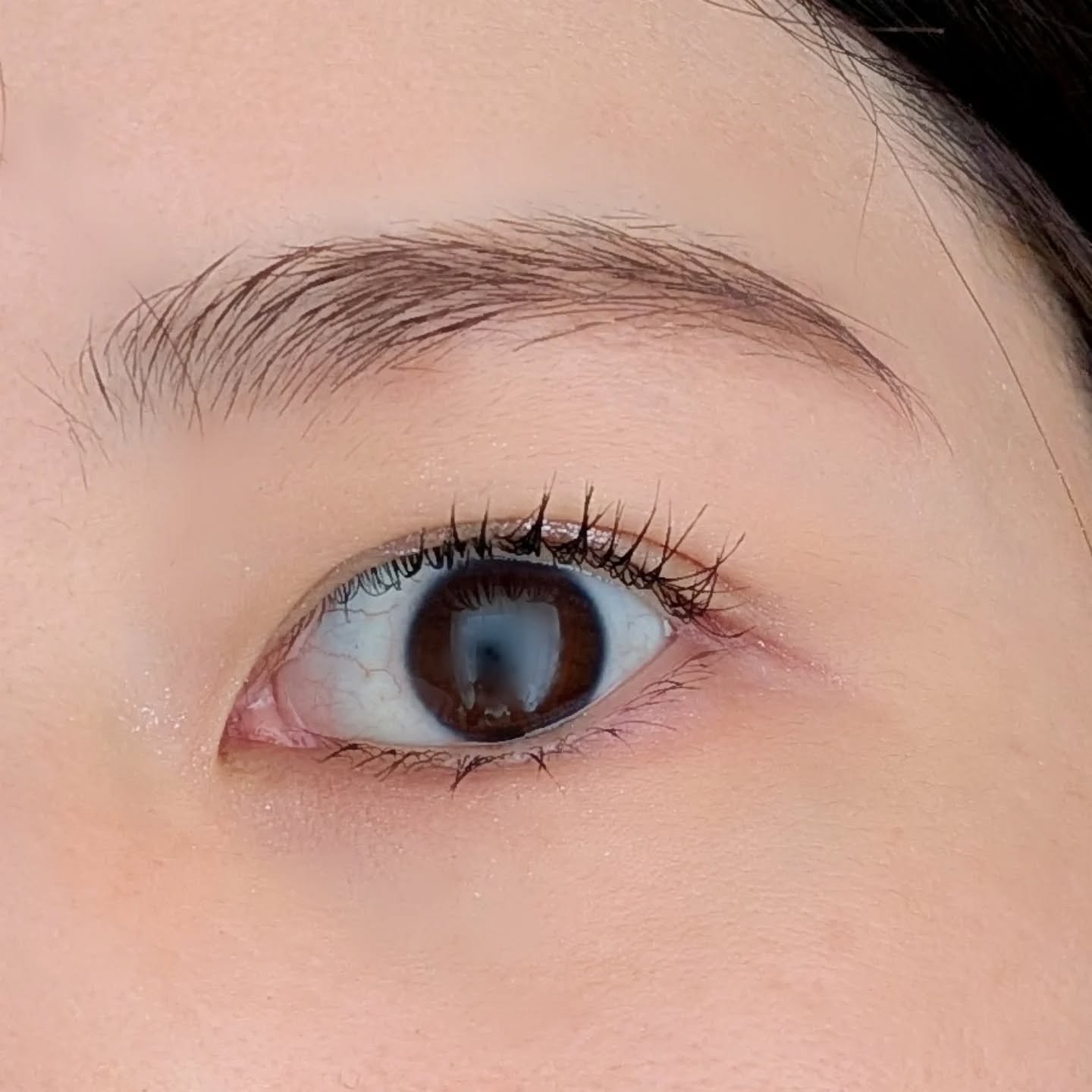 ラッシュファイター　カールアッパーマスカラ　Lv50/ラッシュファイター/マスカラを使ったクチコミ（2枚目）