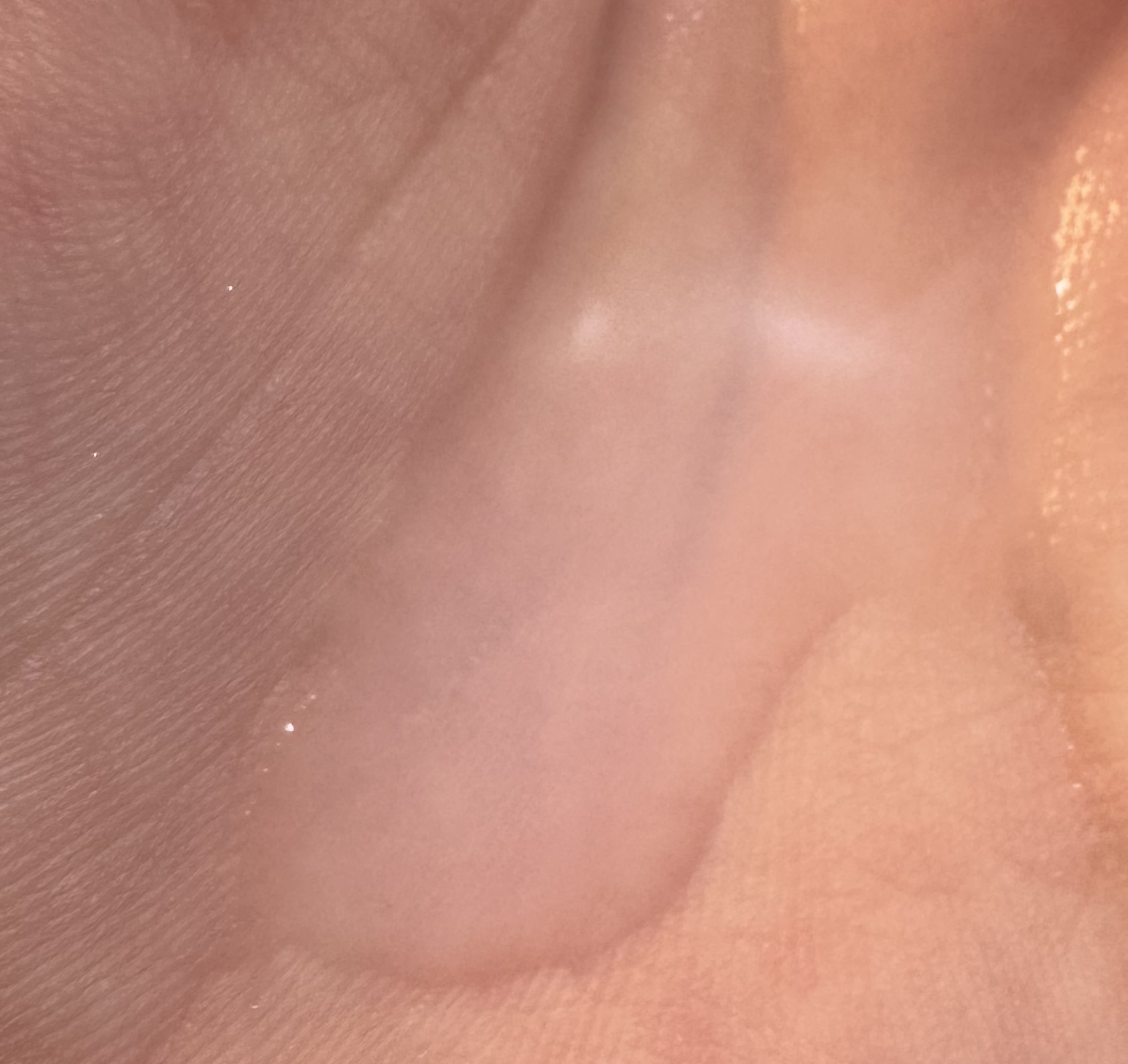 ハトムギ化粧水(ナチュリエ スキンコンディショナー R )/ナチュリエ/化粧水を使ったクチコミ（2枚目）