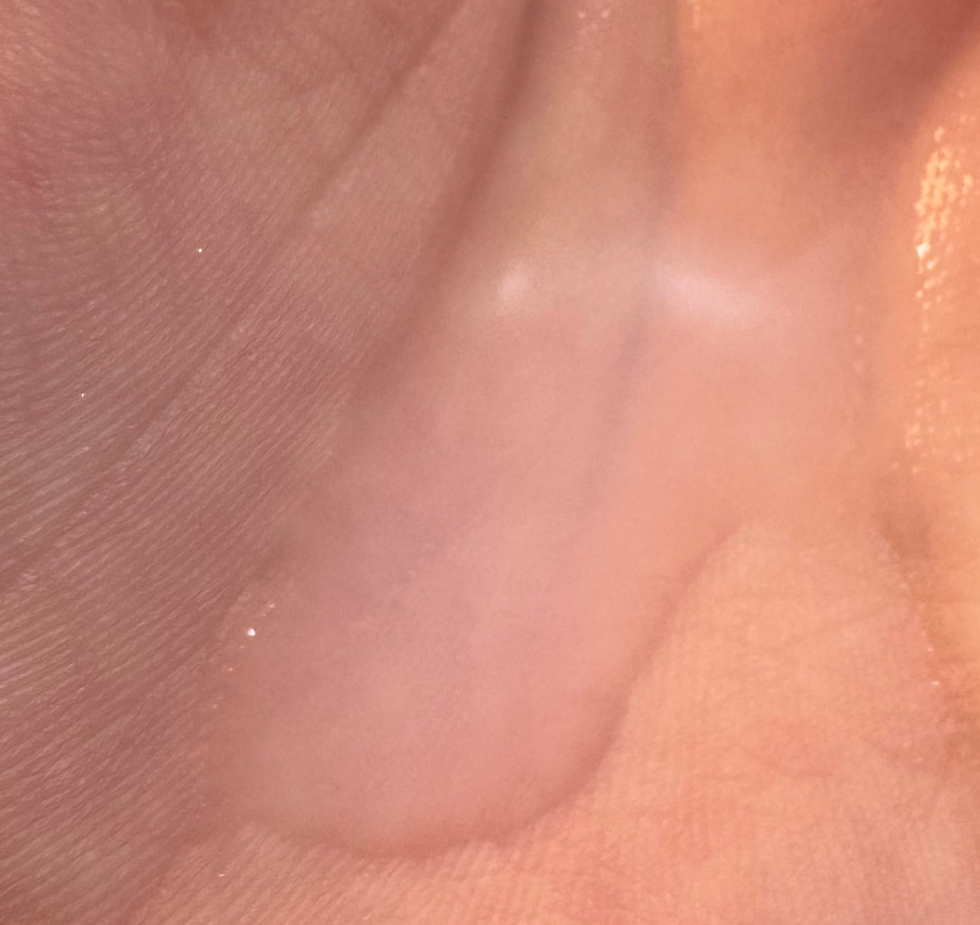 ハトムギ化粧水(ナチュリエ スキンコンディショナー R )/ナチュリエ/化粧水を使ったクチコミ(2枚目)