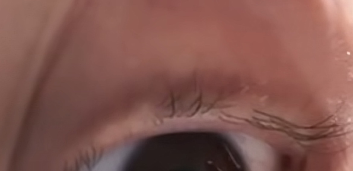 ラッシュジェリードロップ EX プレミアム/MAJOLICA MAJORCA/まつげ美容液を使ったクチコミ（2枚目）