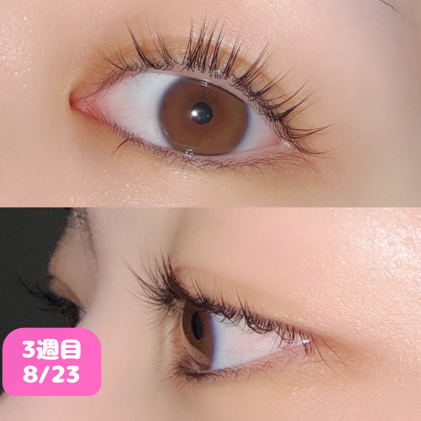 スカルプDまつ毛美容液 クイーン/アンファー(スカルプD)/まつげ美容液を使ったクチコミ(2枚目)