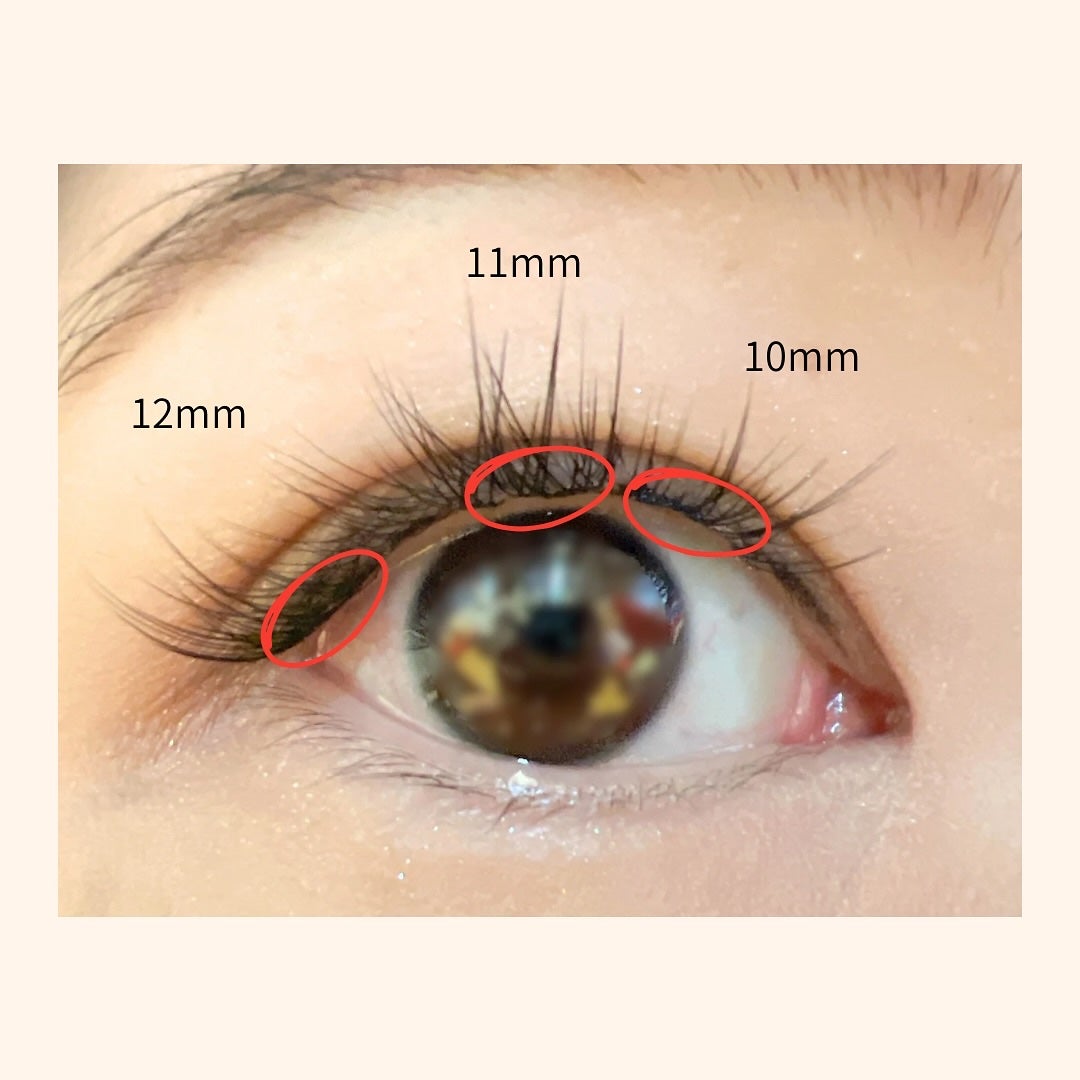 Butterfly Eyelash/BLJ/つけまつげを使ったクチコミ(7枚目)