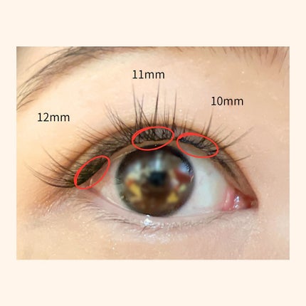 Butterfly Eyelash/BLJ/つけまつげを使ったクチコミ(7枚目)