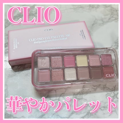 プロ アイ パレット エアー/CLIO/アイシャドウパレットを使ったクチコミ(1枚目)
