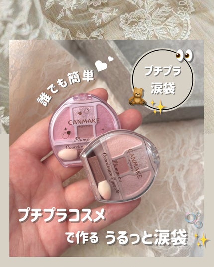 プランぷくコーデアイズ/キャンメイク/パウダーアイシャドウを使ったクチコミ(1枚目)