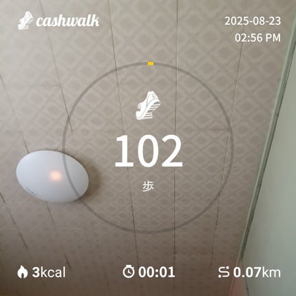 つっしー on LIPS 「#キャッシュウォーク#ポイ活..」(1枚目)