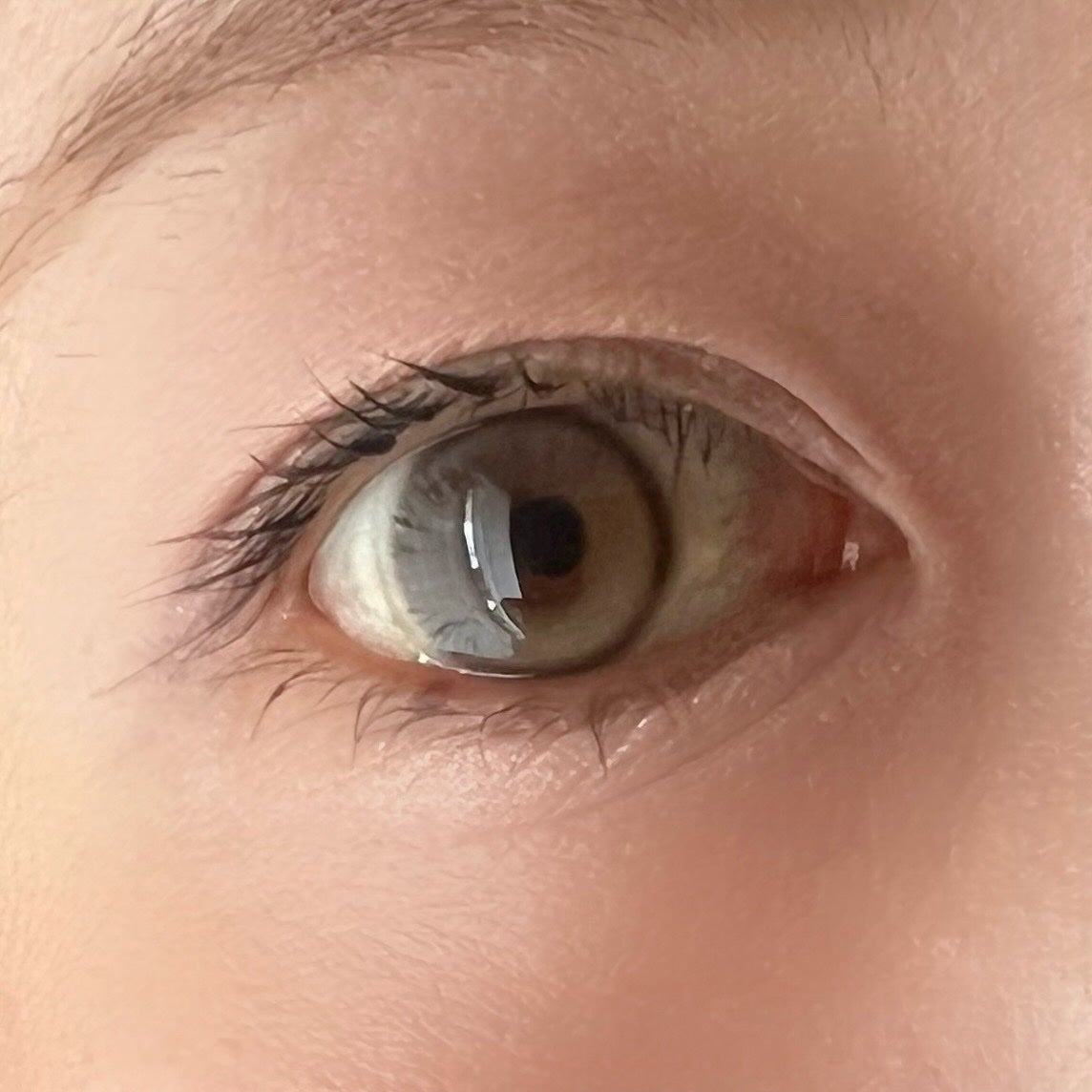 MUSE 1month/OLENS/1ヶ月(1MONTH)カラコンを使ったクチコミ(3枚目)