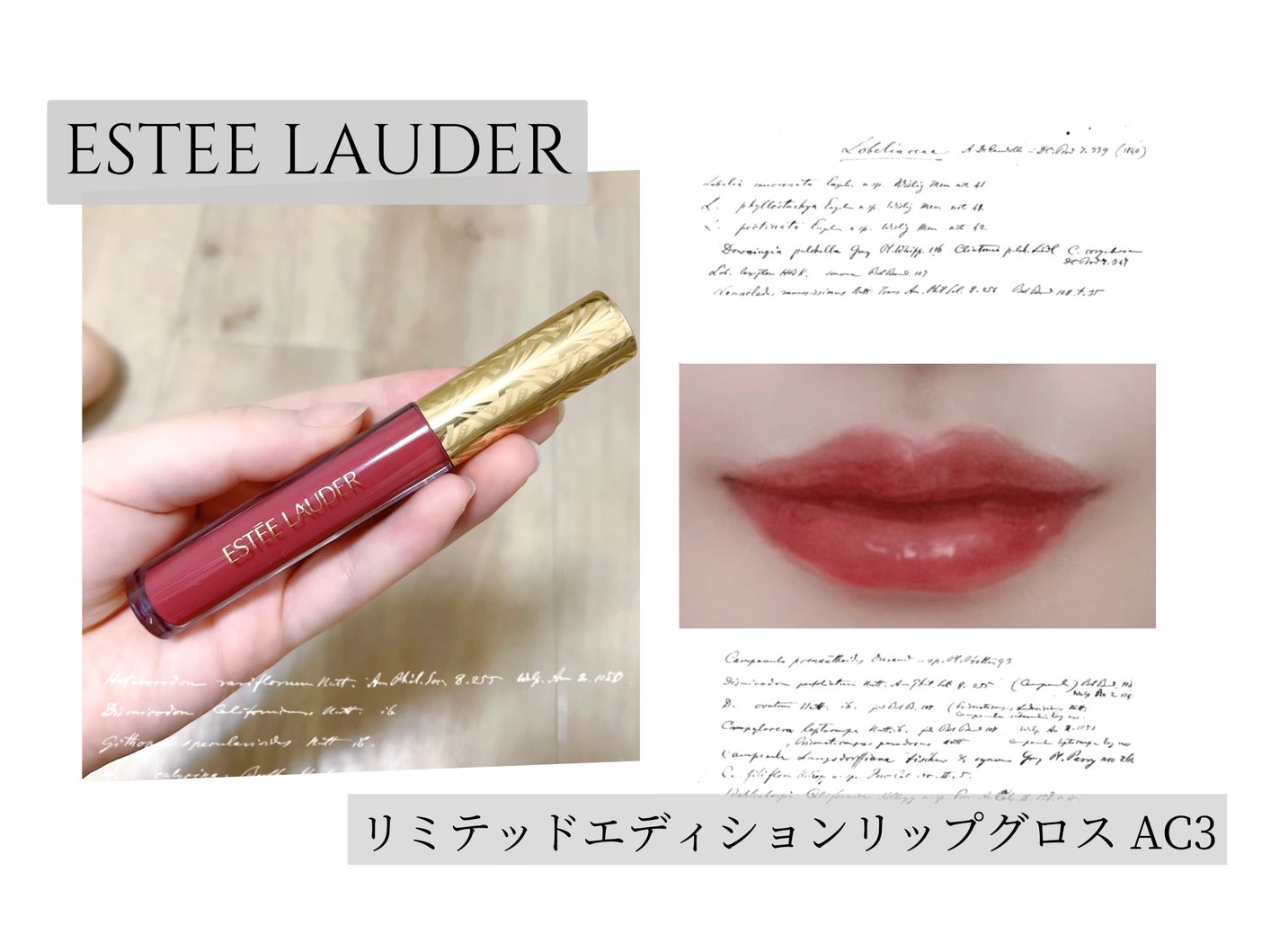 メークアップ コレクション 2024/ESTEE LAUDER/メイクアップキットを使ったクチコミ(1枚目)