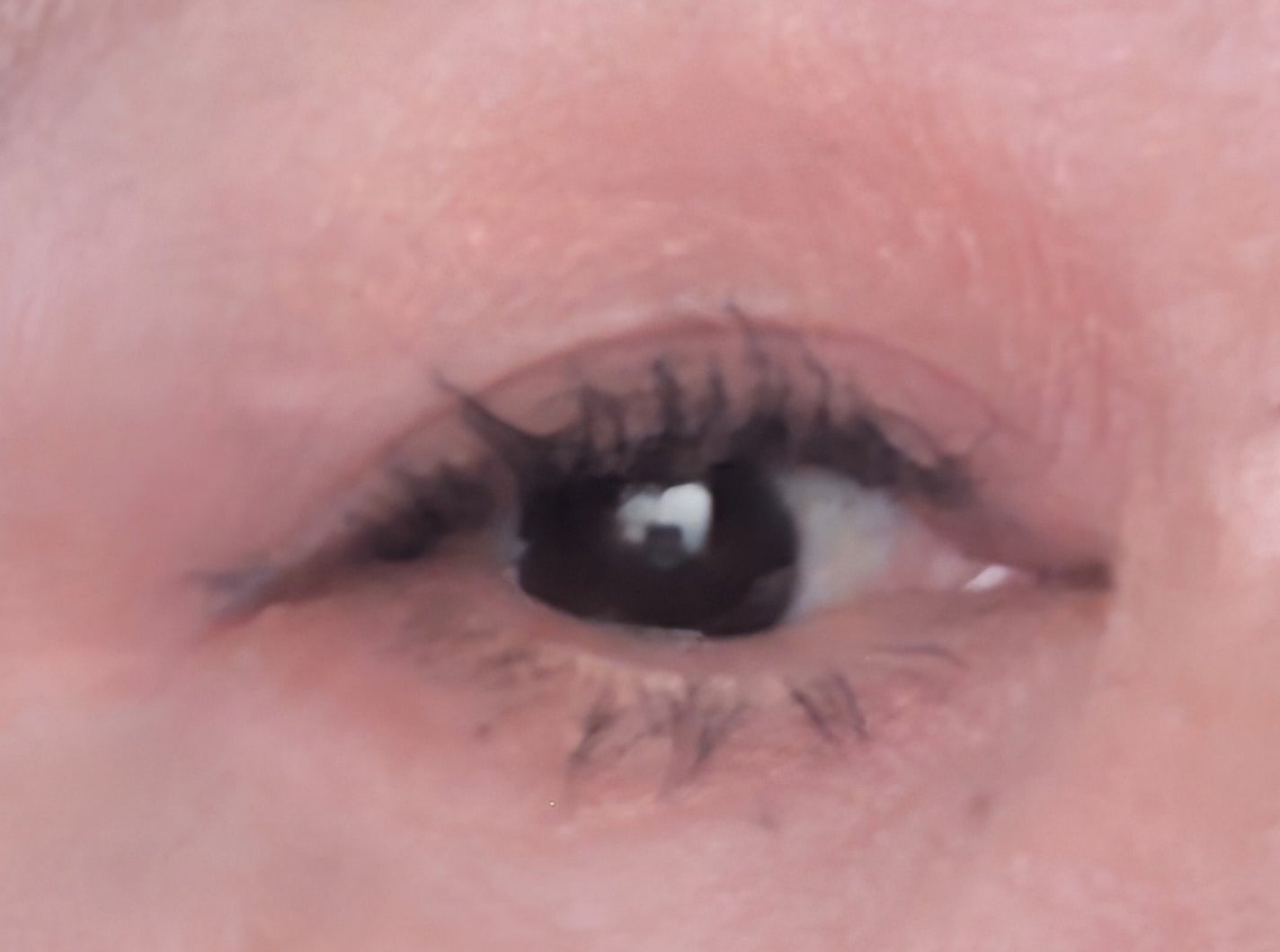 ロング&カールマスカラ アドバンストフィルム/ヒロインメイク/マスカラを使ったクチコミ(2枚目)