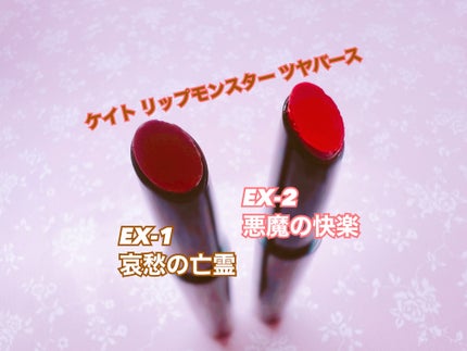 ケイト リップモンスター ツヤバース/KATE/口紅を使ったクチコミ(1枚目)