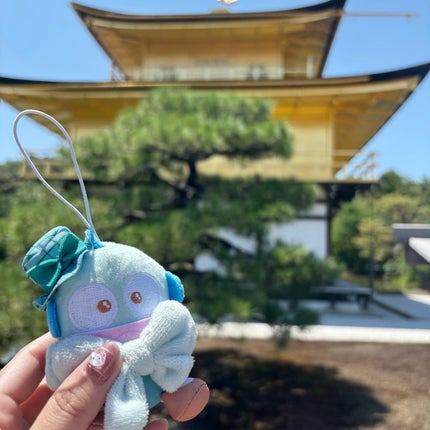 HOMEI ウィークリージェル/HOMEI/ジェルネイルを使ったクチコミ(8枚目)