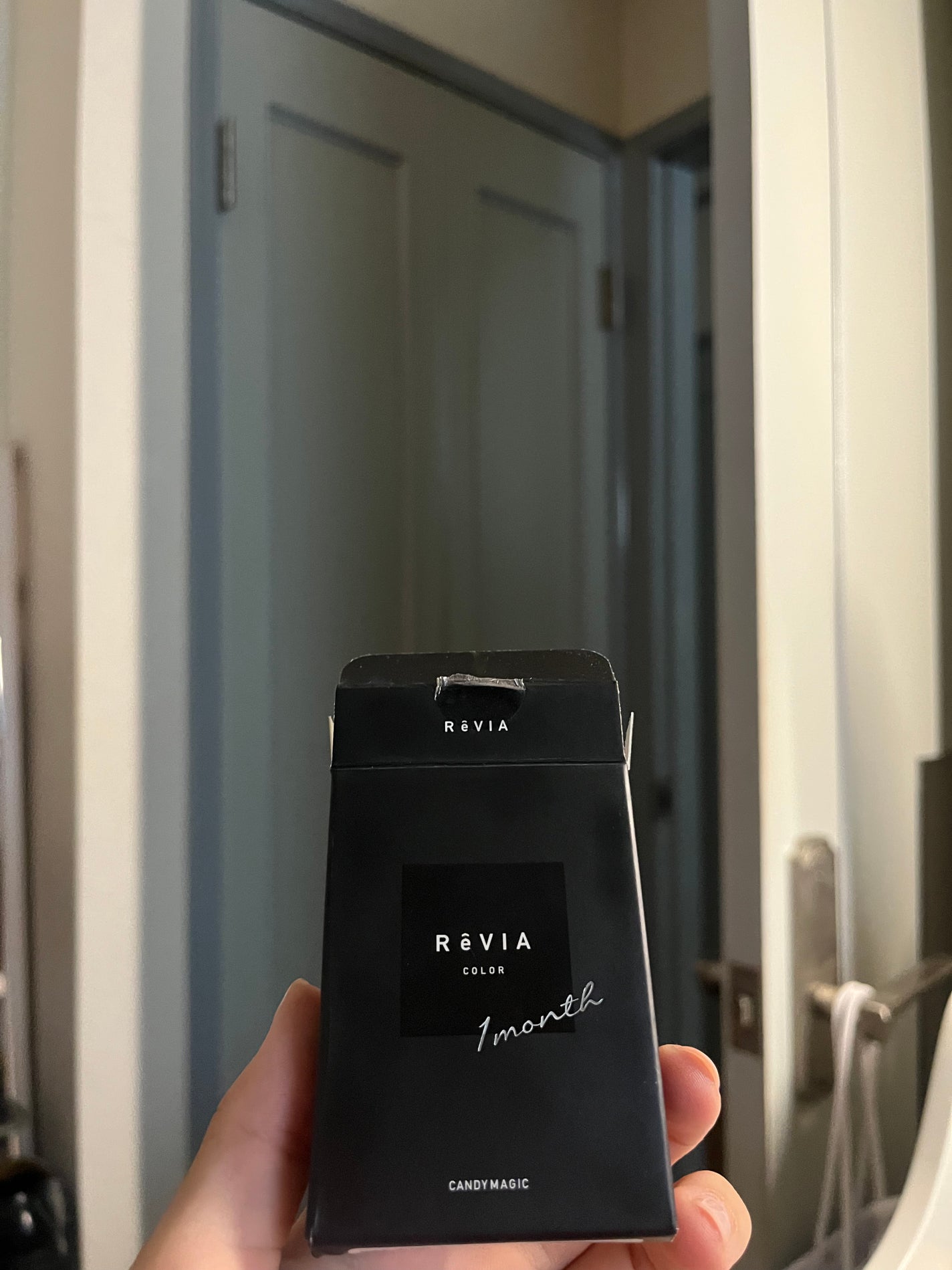 ReVIA 1month/ReVIA/1ヶ月(1MONTH)カラコンを使ったクチコミ(1枚目)