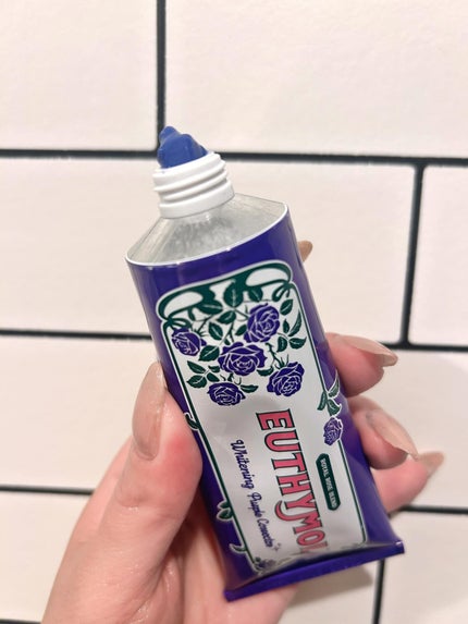 ãã¯ã€ãããŒãã«æ¯ã¿ãã ããŒããããŒã©ã«ãã³ãã®éŠã/EUTHYMOL/æ¯ç£šãç²ã䜿ã£ãã¯ãã³ãïŒ2æç®ïŒ