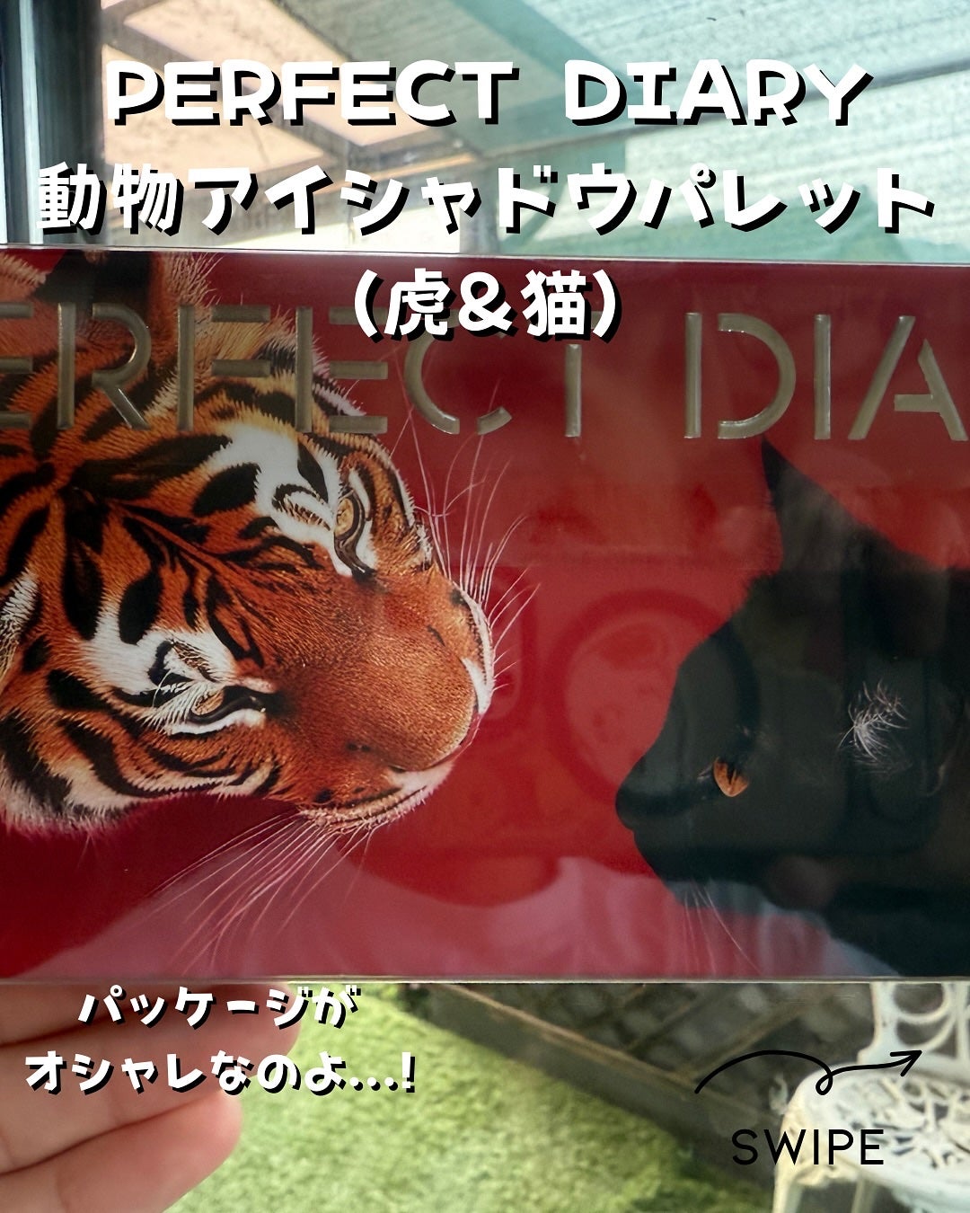 エクスプローラ12色 動物アイシャドウパレット/PERFECT DIARY/アイシャドウパレットを使ったクチコミ(1枚目)