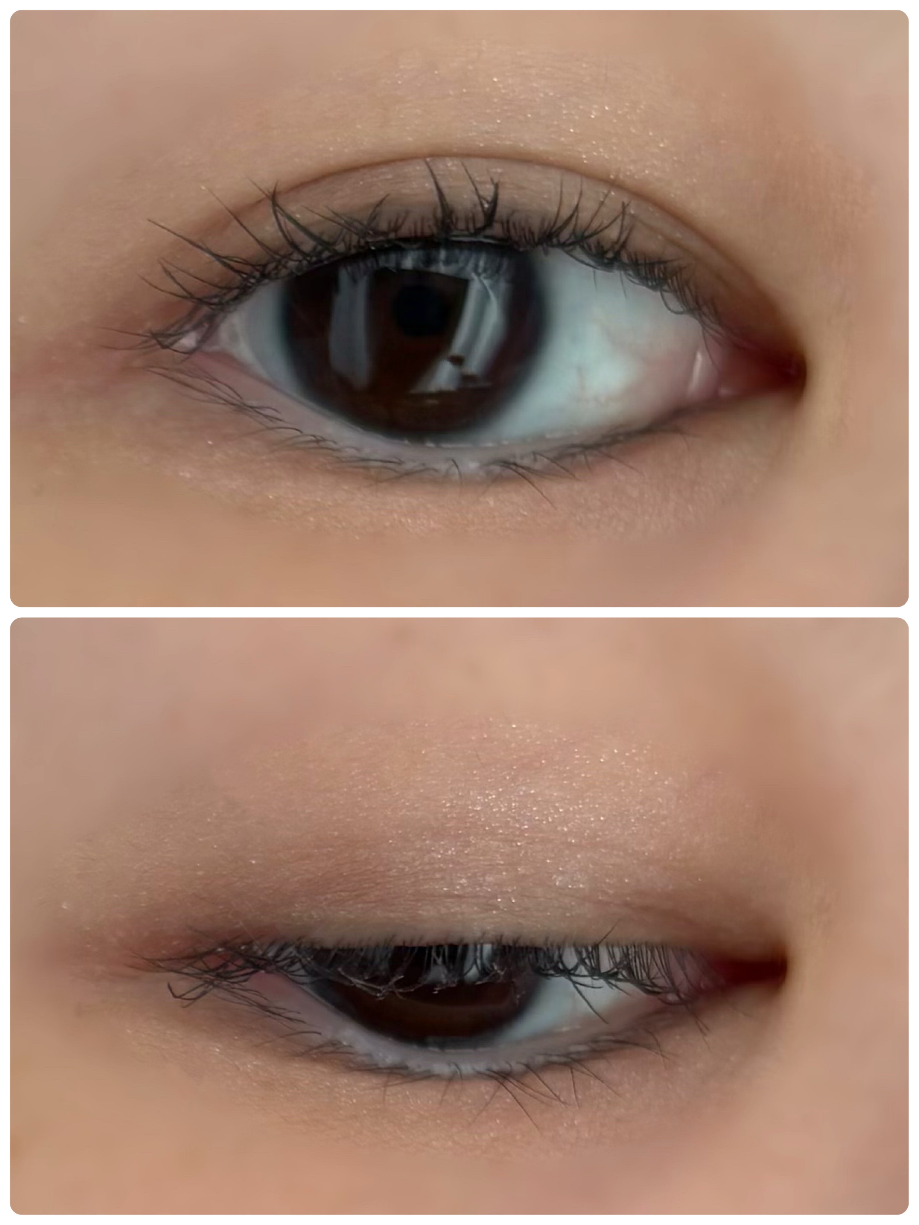 THE アイパレR 06 本能のヌードベージュ【新】/b idol/アイシャドウパレットを使ったクチコミ（2枚目）