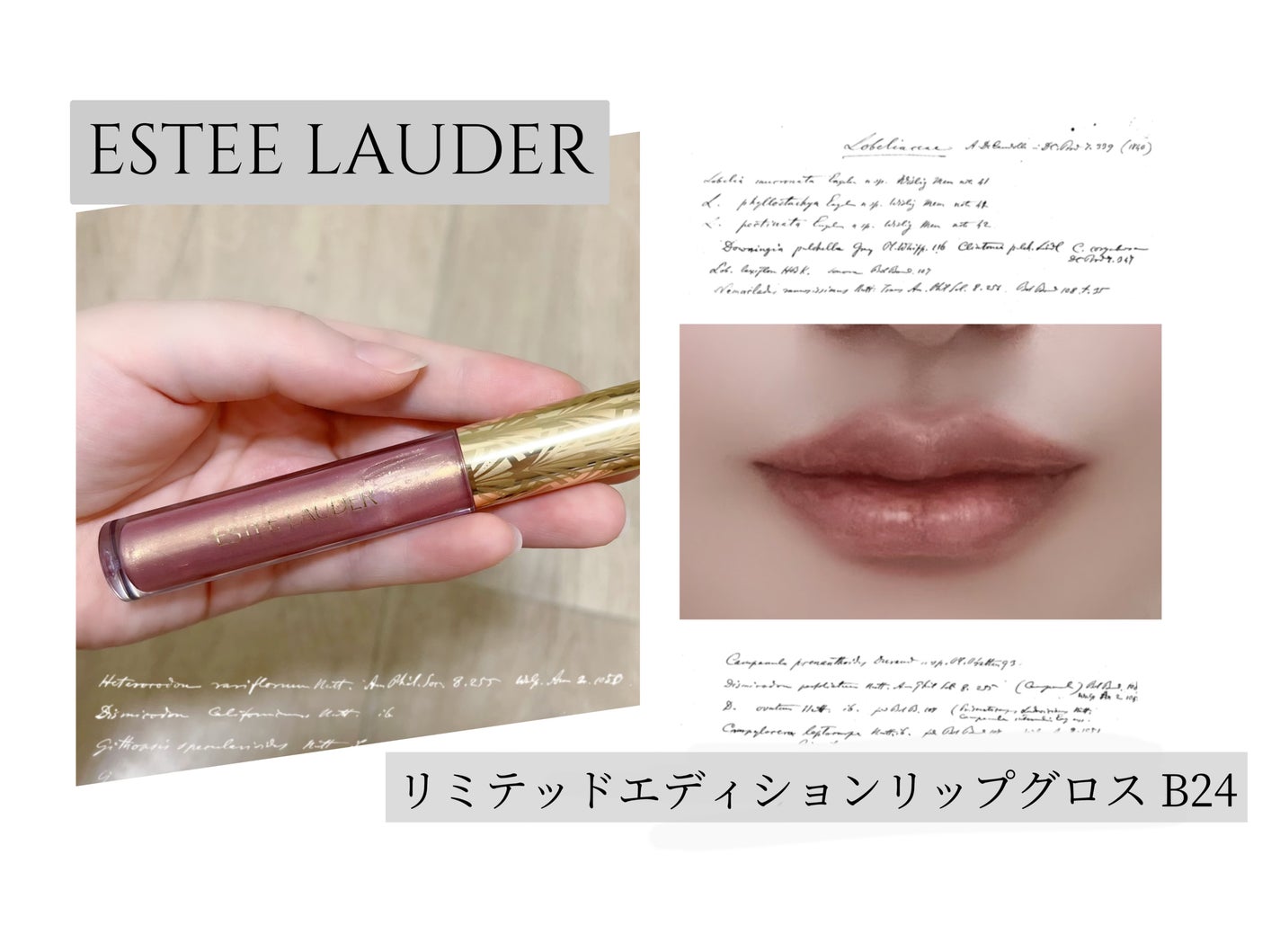 メークアップ コレクション 2024/ESTEE LAUDER/メイクアップキットを使ったクチコミ(1枚目)