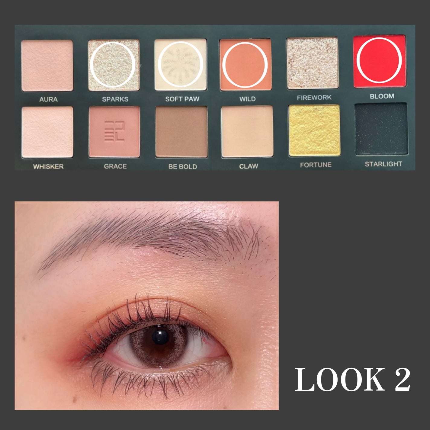 エクスプローラ12色 動物アイシャドウパレット/PERFECT DIARY/アイシャドウパレットを使ったクチコミ(5枚目)