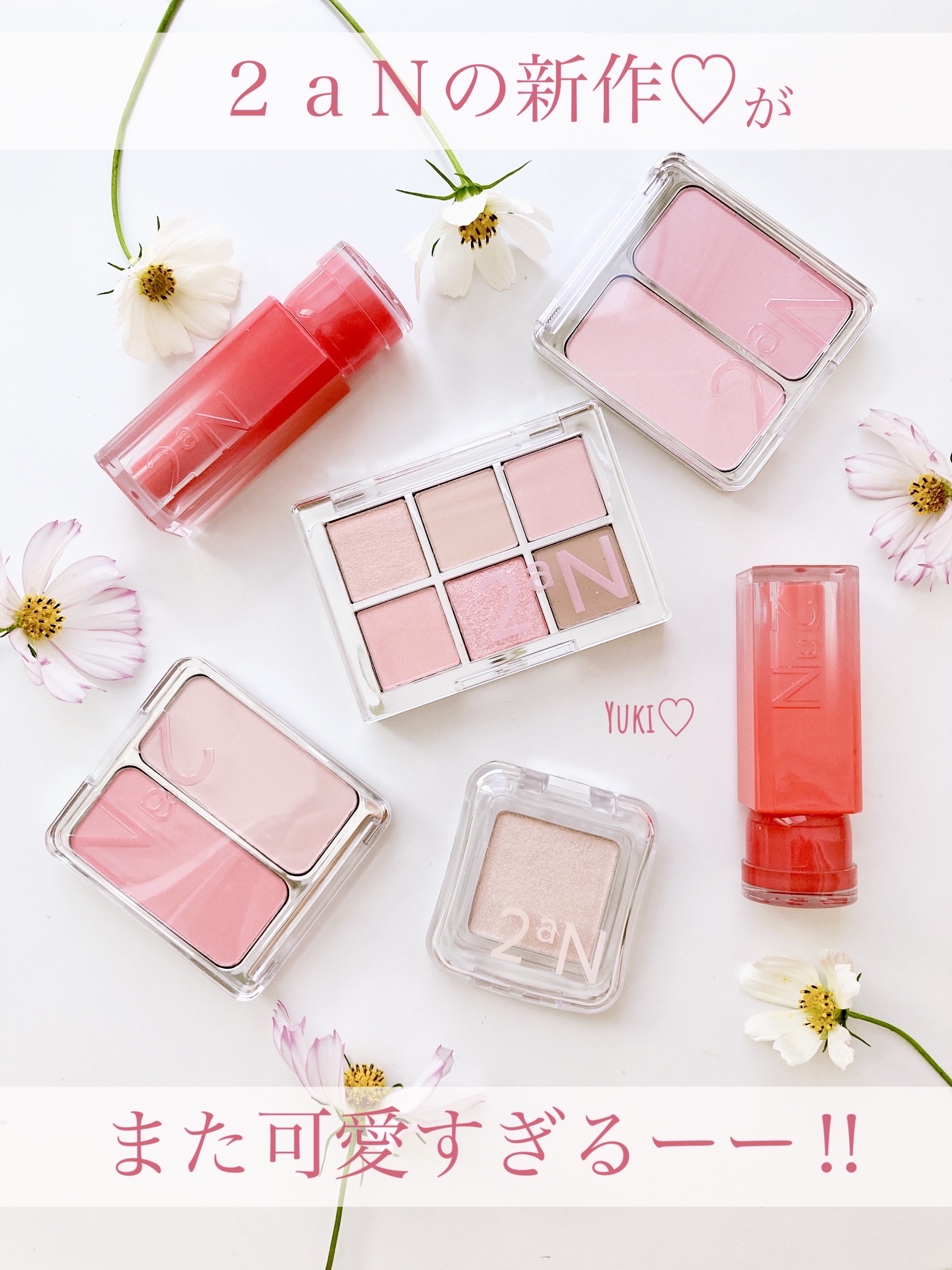 デュアルチーク/2aN/パウダーチークを使ったクチコミ（1枚目）