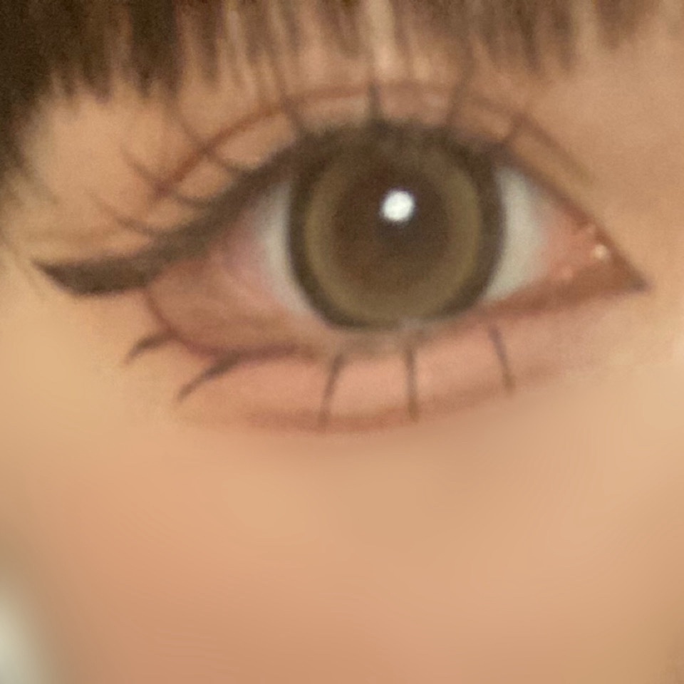 プロ アイ パレット/CLIO/アイシャドウパレットを使ったクチコミ（2枚目）