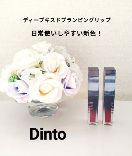 ディープキスド プランピング リップエナメル/Dinto/リップグロスを使ったクチコミ(1枚目)